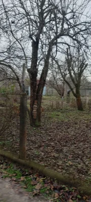 Земельна ділянка