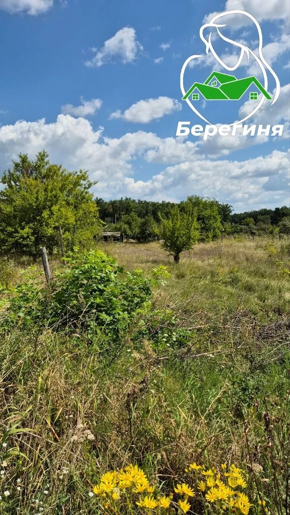 Земельна ділянка Гайок СТ "Еколог" Біла Церква