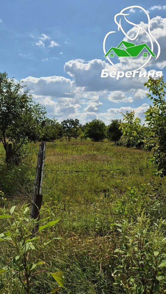 Земельна ділянка Гайок СТ "Еколог" Біла Церква