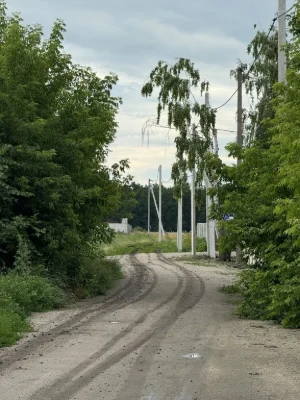 Військбуд (селекція) світло