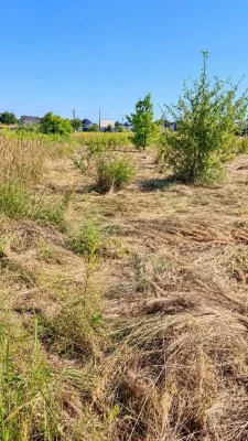 * Ділянка 12 соток рівної форми з можливістю збільшення -- Б