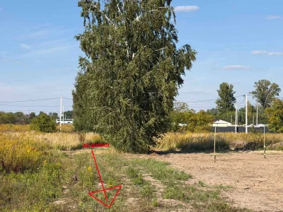 ділянка 6 соток за 4000доларів Бориспіль