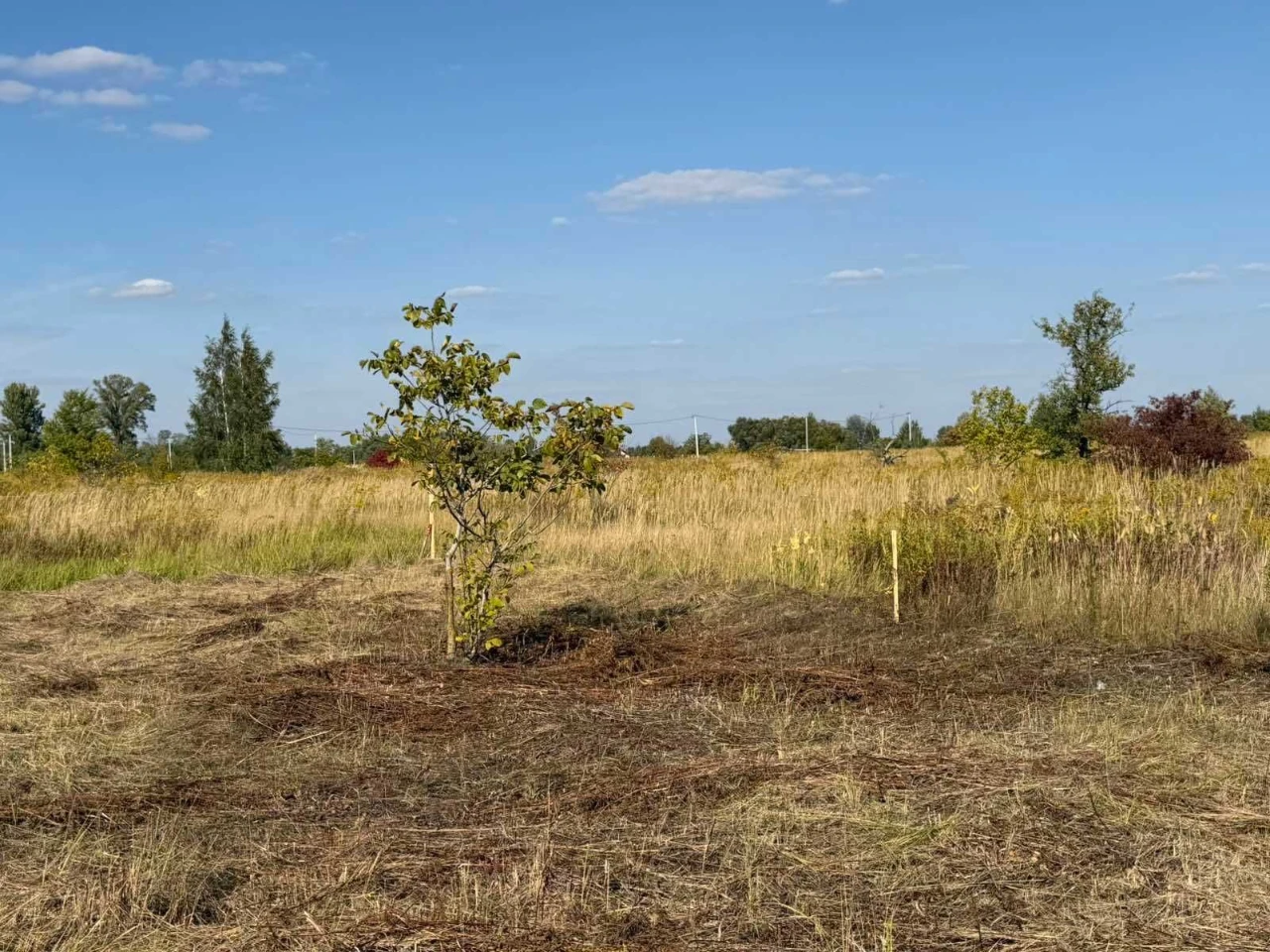 ділянка 6 соток за 4000доларів Бориспіль