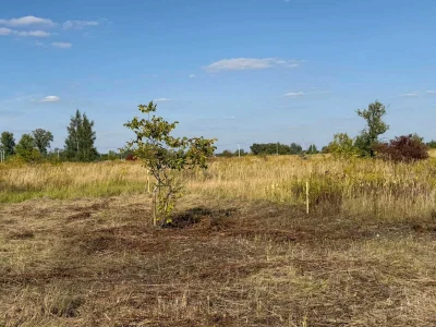 ділянка 6 соток за 4000доларів Бориспіль