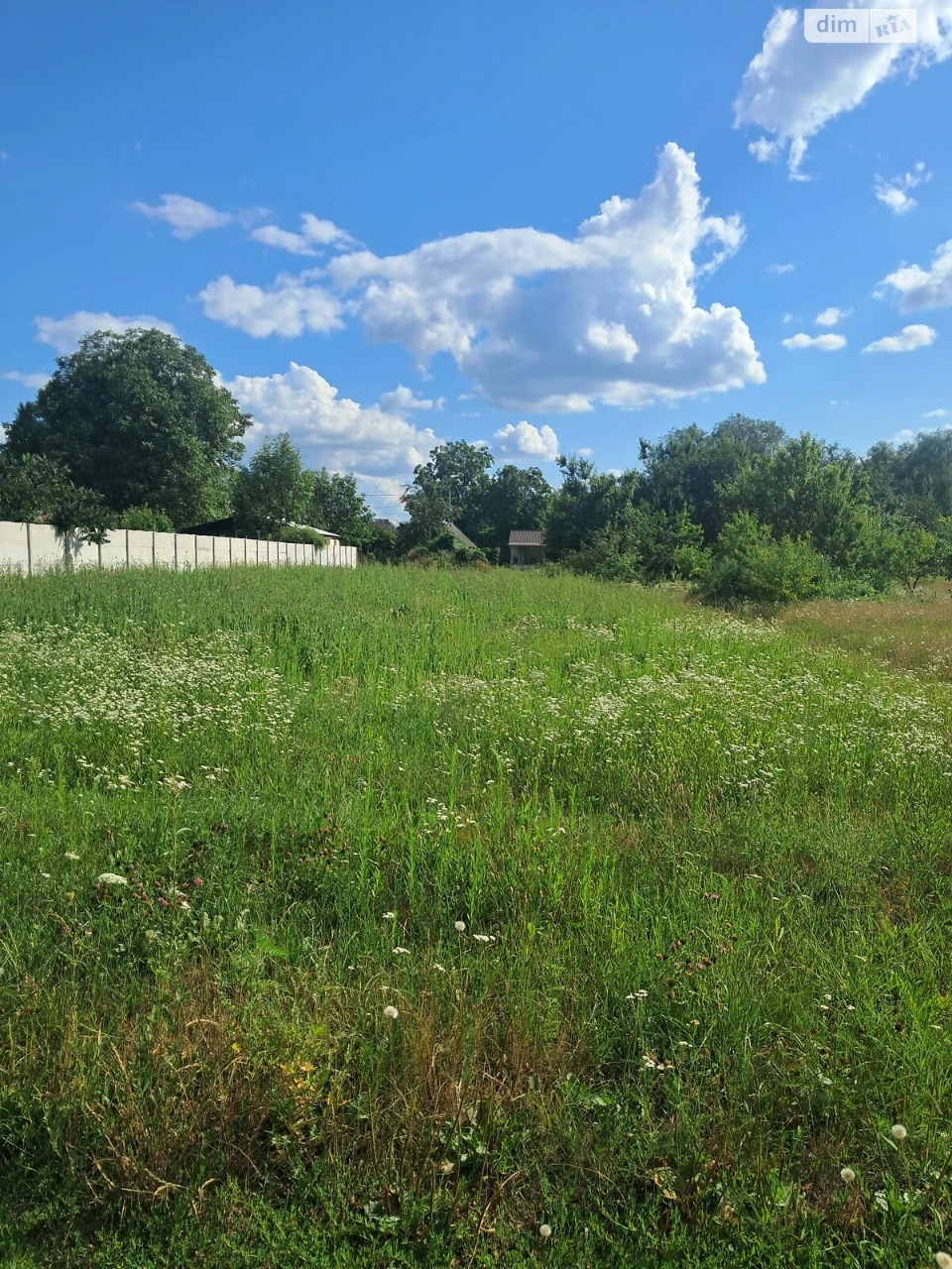 Продаж Ділянка під житлову забудову Лозівка