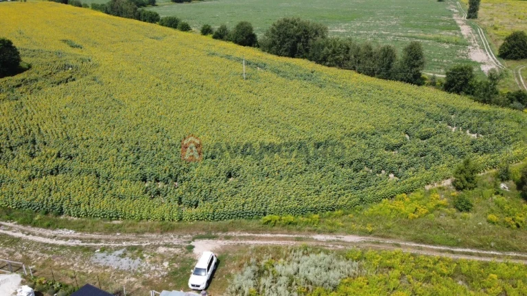 2 ГА в Борисполі! $350/сотка. Світло на ділянці. Ідеально пі
