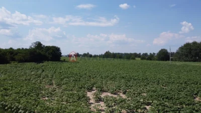 2 ГА в Борисполі! $350/сотка. Світло на ділянці. Ідеально пі