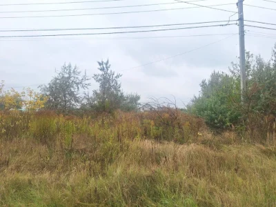 Земельна ділянка 10 с вул. Мистецька м.Бориспіль