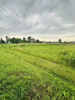 Продаж земельної ділянки 10 соток під забудову! м. Бориспіль
