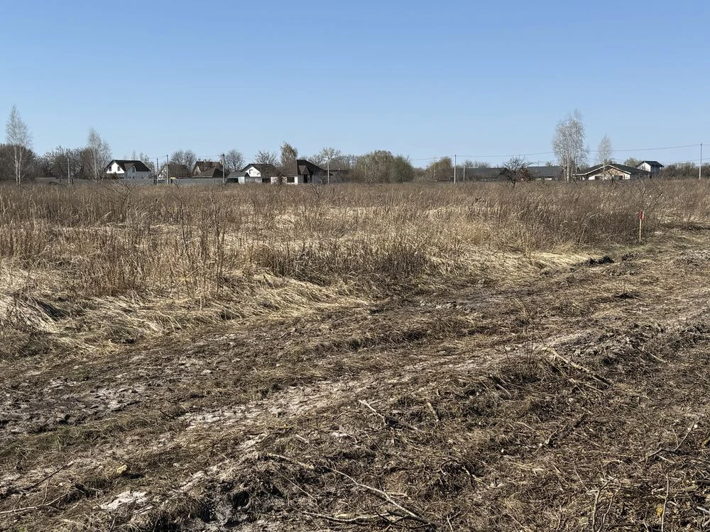 6соток під будівництво. Приватизовано. Бориспіль Лозівка