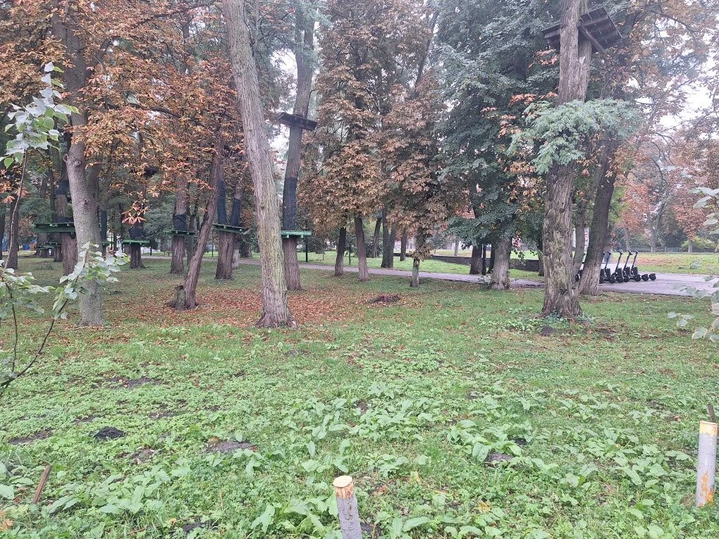 Земельна ділянка 4,5 с. комерція призначення 03.10  центр м.