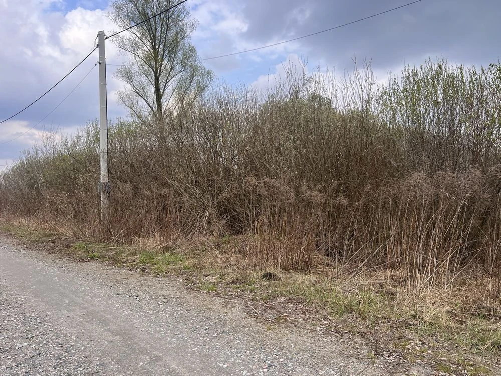 Продам ділянку 10соток Лозівка ( Бориспіль)