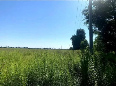 Продаж землі Бориспіль