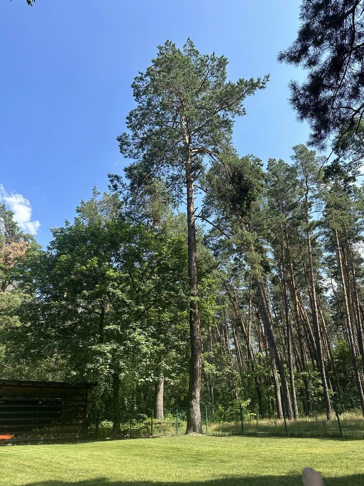 Бровари продам земельні ділянки від 5 соток , зелена поляна