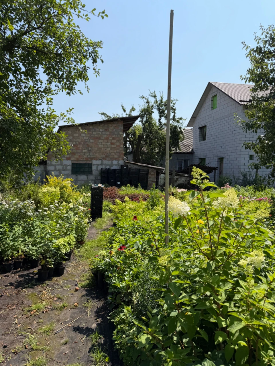 Продам ділянку в Броварах, район Старий центр; 8 соток