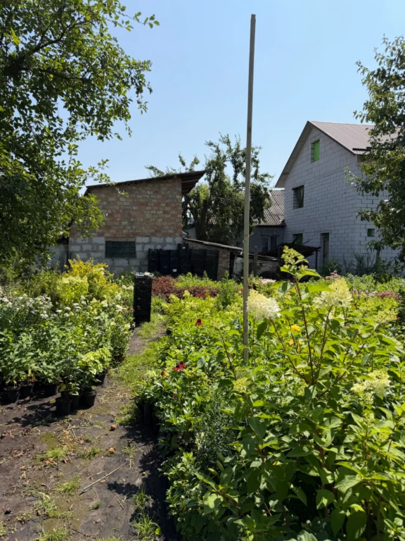 Продам ділянку в Броварах, район Старий центр; 8 соток