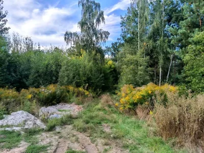 Ділянка. Бровари, Драгоманова вул.