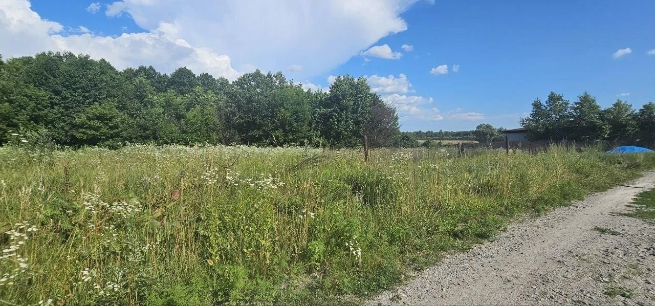 БЕЗ % Продаж ділянки 25 соток під забудову, Літки, Рожни, Бр