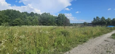 БЕЗ % Продаж ділянки 25 соток під забудову, Літки, Рожни, Бр