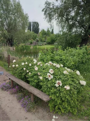 Ділянка, будинок Бровари, вул. Оболонська