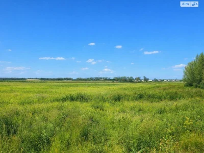 Продаж Земля сільськогосподарського призначення