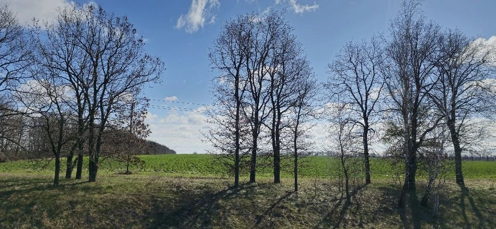Бровари ФАСАД ТРАСИ Е-95 окружна дорога