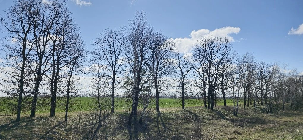 Бровари ФАСАД ТРАСИ Е-95 окружна дорога