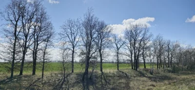 Бровари ФАСАД ТРАСИ Е-95 окружна дорога
