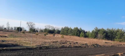 Супер участок по супер цене!