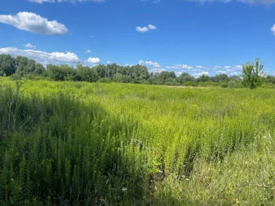 Бровари Земельна ділянка 1 до 10ГА.Житлова-Комерція забудова