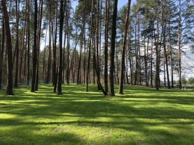 Продам участок 5 соток бровары лес зеленая поляна 3