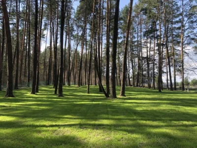 Продам участок в лесу. Левый берег Киева. Бровары Зеленая по