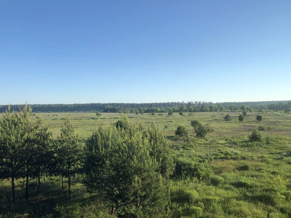 Продам участок 10 соток Зеленая поляна, лес, отличное место