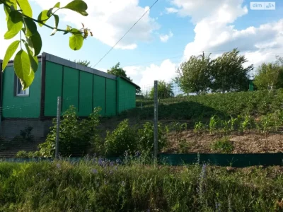 Продаж Земля сільськогосподарського призначення Васильків