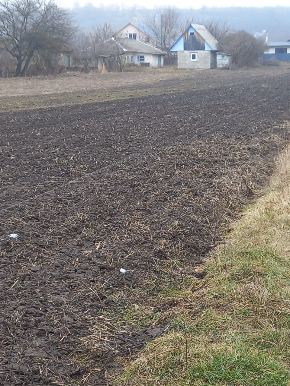 Продам ділянку в селі Велика Вільшанка