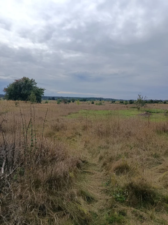 земельна ділянка .В смт Калинівка.