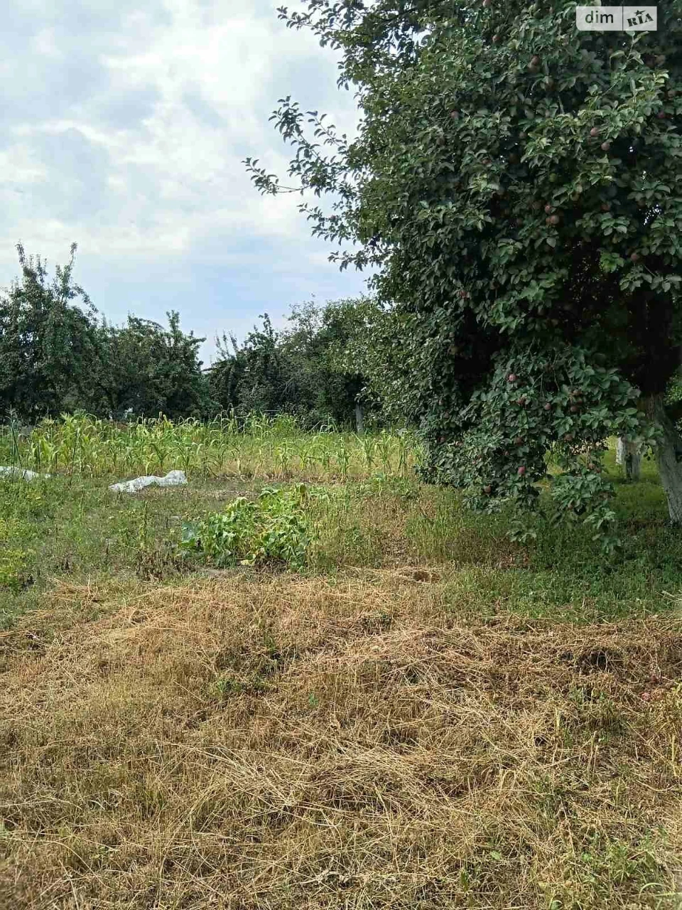 Продаж Ділянка під житлову забудову
