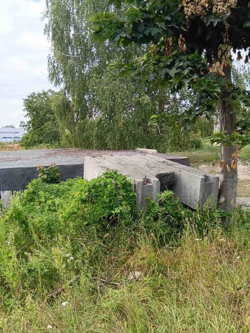 20 соток за Хлібзаводом. з парканом і цоколем.