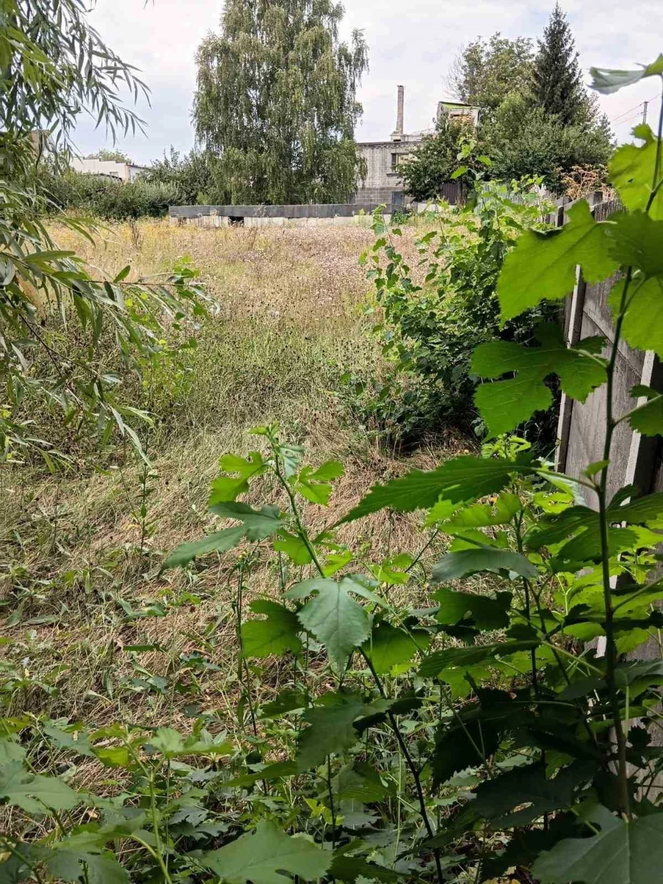 20 соток за Хлібзаводом. з парканом і цоколем.