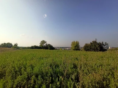 Ділянка з панорамним видом на місто Васильків