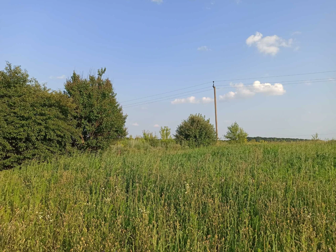 Ділянка з панорамним видом на місто Васильків