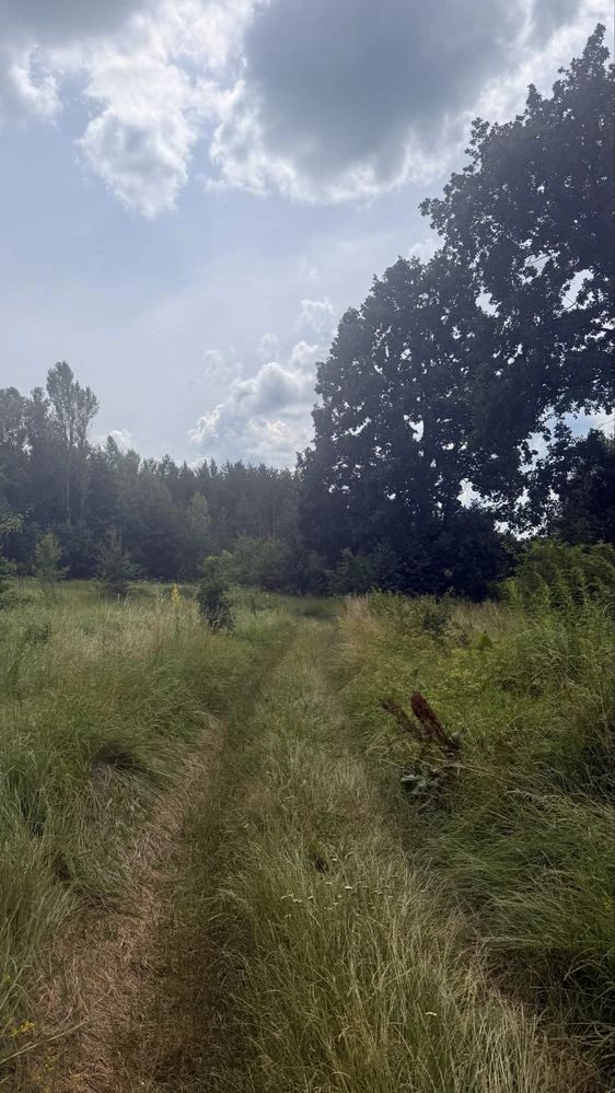 Прожаж ділянки м.Васильків