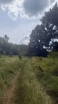 Прожаж ділянки м.Васильків
