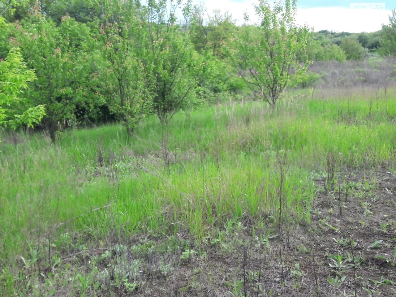 Продаж Земля сільськогосподарського призначення