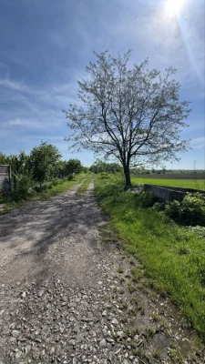Продажа земельної ділянки 9 га