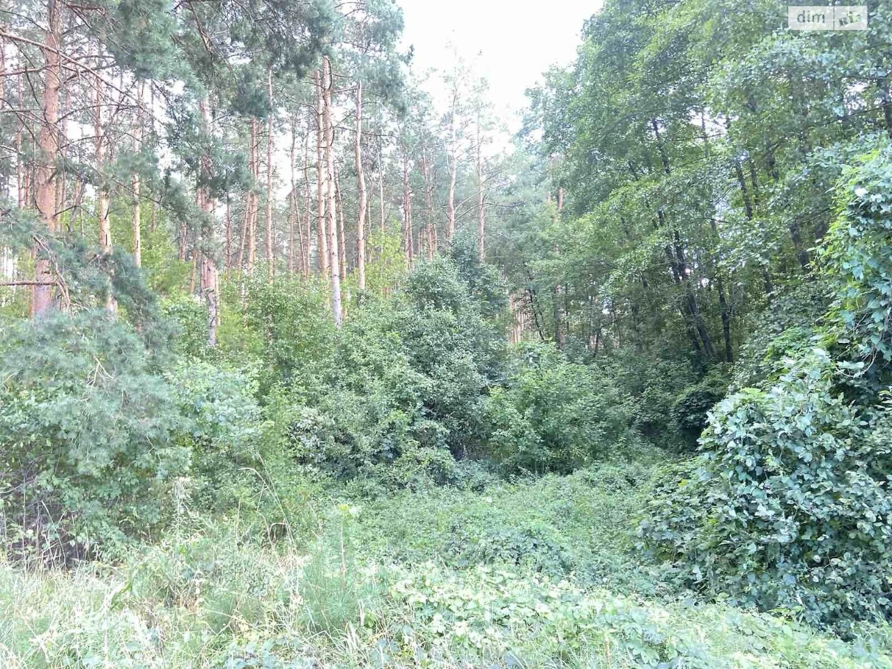 Продаж Ділянка під житлову забудову