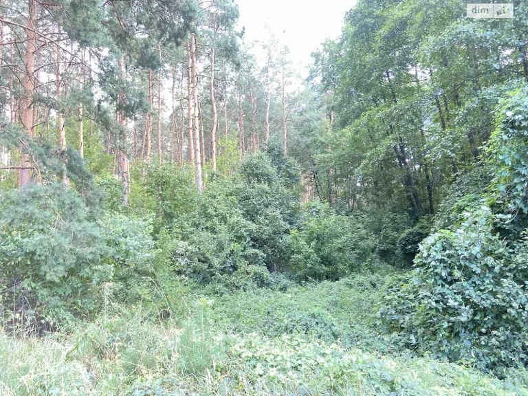 Продаж Ділянка під житлову забудову