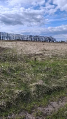 Продам ділянку 8 сот.СТ "Відпочинок"