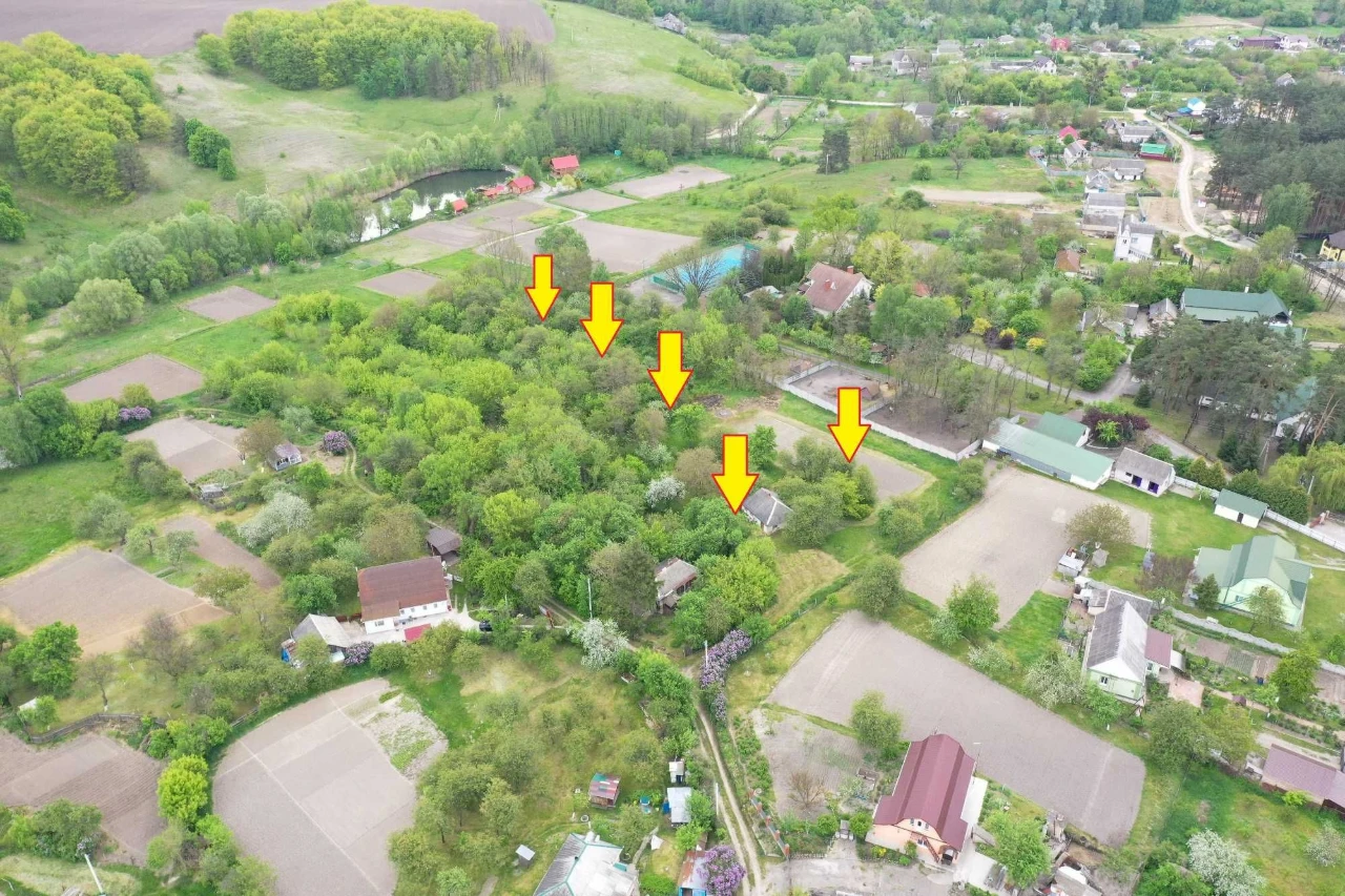 Васильків 46 соток поруч з лісом