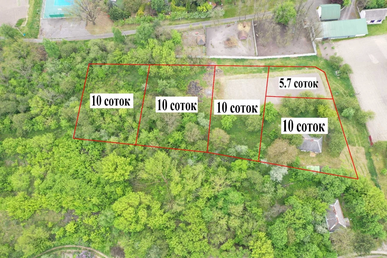 Васильків 46 соток поруч з лісом